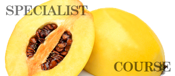 認定フルーツ酵素スペシャリストコース