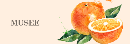 JFEA認定フルーツデザイン　ミュゼコース